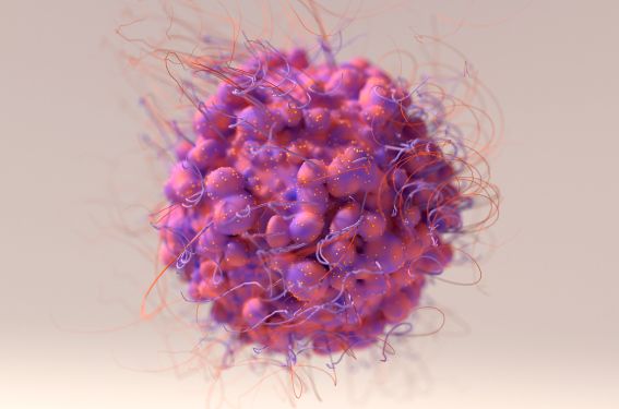 Le ribociclib pour les cancers du sein luminaux métastatiques RH+ HER2- Le ribociclib pour les cancers du sein luminaux métastatiques RH+ HER2-
