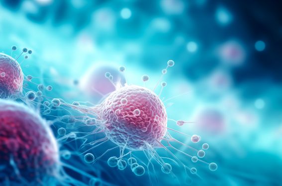 Le tinengotinib, un nouvel inhibiteur multikinase pour les cancers du sein HR+/HER2- ou TNBC Le tinengotinib, un nouvel inhibiteur multikinase pour les cancers du sein HR+/HER2- ou TNBC